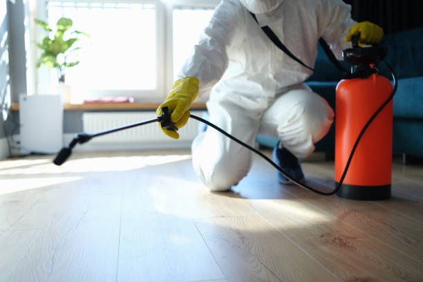 Reliable Odor Removal contractor in Coulterville, CA by Crime Scene Cleaner Online